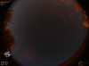 20:35:38 (*491)