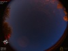 04:59:49 (*570)