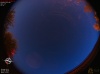05:05:18 (*536)