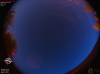 05:06:05 (*549)