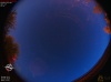 05:07:39 (*558)