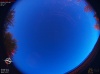 05:16:16 (*374)