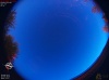 05:17:03 (*338)