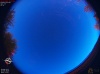 05:17:50 (*323)