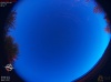 05:19:25 (*269)