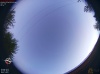 06:03:41