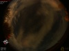 01:21:46 (*130)