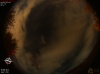 01:27:15 (*114)