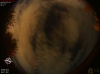 01:40:34 (*41)