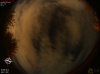 01:41:21 (*41)