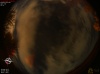 01:58:36 (*117)