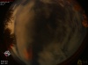 02:00:10 (*123)