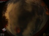 02:02:31 (*110)