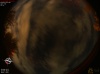 02:10:21 (*92)