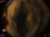 02:14:16 (*85)
