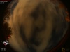 02:19:45 (*29)