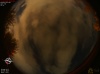02:21:20 (*30)