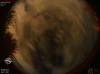 02:31:31 (*21)