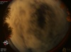 02:42:29 (*18)