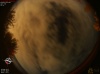 02:43:16 (*17)