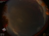 04:04:45 (*364)