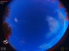 05:16:07 (*416)