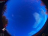 05:17:40 (*403)