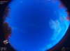 05:19:15 (*307)