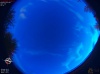 05:26:17 (*98)