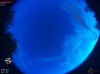 05:31:07 (*55)